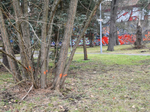 Nejstarší uměle založený park v Plzni čeká třetí etapa revitalizace. Vznikl už v roce 1833