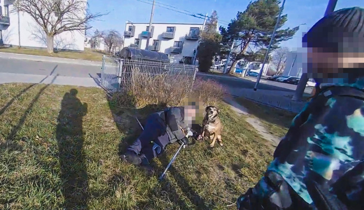 VIDEO: Rozrušená fenka bránila svého páníčka. Muž ležel u chodníku na zemi kvůli zdravotnímu problému