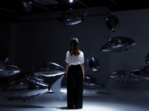 Největší festival světla BLIK BLIK rozzáří Plzeň již tento víkend