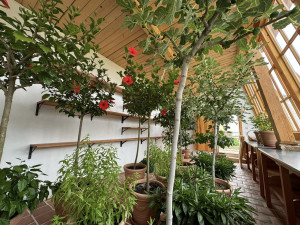 Zámek Červené Poříčí opravil zahradní altánek a nejmenší zámeckou oranžerii