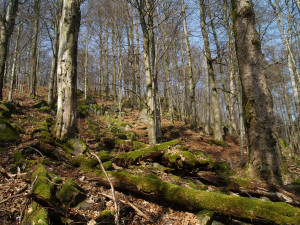 Foto: Jana Juráková