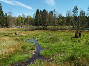 Na kolmu, foto: Jana Juráková