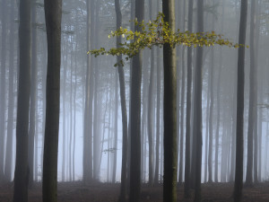 Foto: Václav Hruška