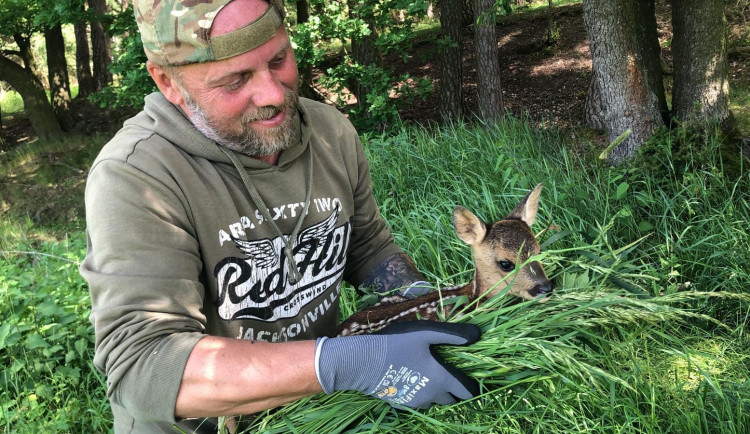Loni se jim podařilo zachránit před sekačkou 420 srnčat, spolek z Plzeňska vyráží do terénu i letos