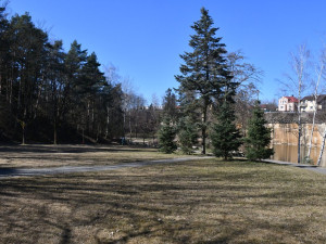 Kvalitu vody v oblíbeném jezírku zhoršují lidé, kteří krmí ptáky i nečistoty při přívalových deštích