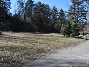 Kvalitu vody v oblíbeném jezírku zhoršují lidé, kteří krmí ptáky i nečistoty při přívalových deštích