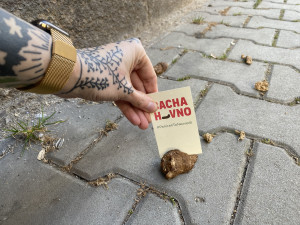 Proti psím exkrementům na chodnících bojuje originálním způsobem mladá žena. Zabodne do nich úderný vzkaz