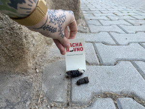 Proti psím exkrementům na chodnících bojuje originálním způsobem mladá žena. Zabodne do nich úderný vzkaz