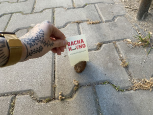 Proti psím exkrementům na chodnících bojuje originálním způsobem mladá žena. Zabodne do nich úderný vzkaz