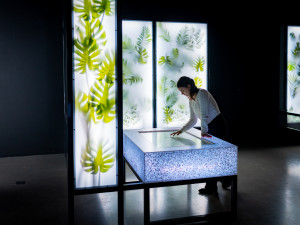 Techmanie ukazuje udržitelný svět, nová expozice láká na světelné prvky i vůně