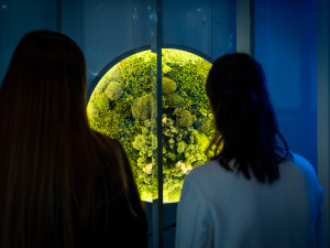 Techmanie ukazuje udržitelný svět, nová expozice láká na světelné prvky i vůně