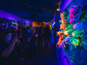 Tisíce lidí navštívilo jubilejní festival světla BLIK BLIK, nejvíce se líbily instalace na náměstí