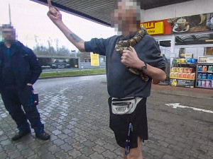 Agresivní muž s hadem na krku děsil a obtěžoval lidi na čerpací stanici. Jeho hlavu si několikrát strčil do pusy