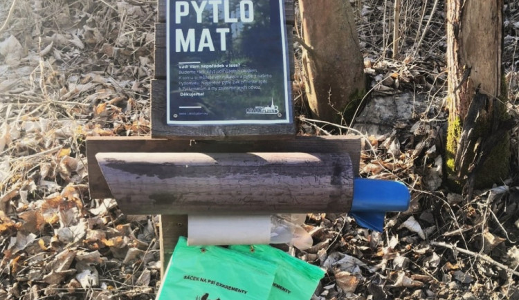 Čistší les díky dobrovolníkům. Pytlomaty jsou zpět na Nové Hospodě.