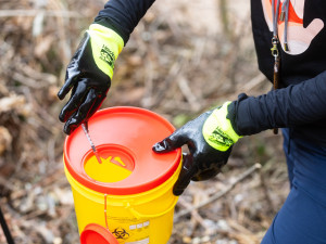 E.ON už podeváté uklízel Česko. Dvě stovky zaměstnanců našly v přírodě zakopané zlato i vyhozený elektroměr.