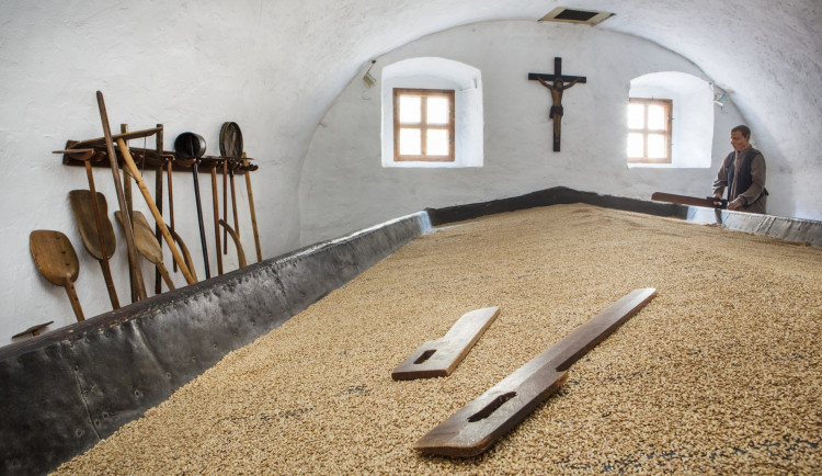 Pivní speciály i netradiční prohlídky. Sládci se připravují na první Noc pivovarů