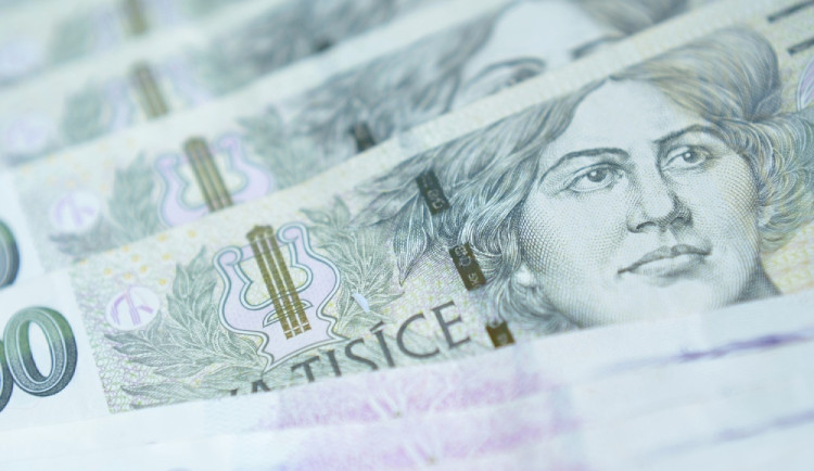 Systém dotací v ČR podle NKÚ selhává, stát plýtvá veřejnými prostředky