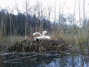 Chlapeček teď tvoří pár s Josefínou