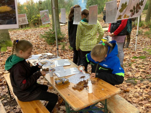 Na Den pro les připravili organizátoři 3 500 sazenic stromů. Zájemci je mohou přijít vysadit