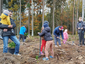 Na Den pro les připravili organizátoři 3 500 sazenic stromů. Zájemci je mohou přijít vysadit