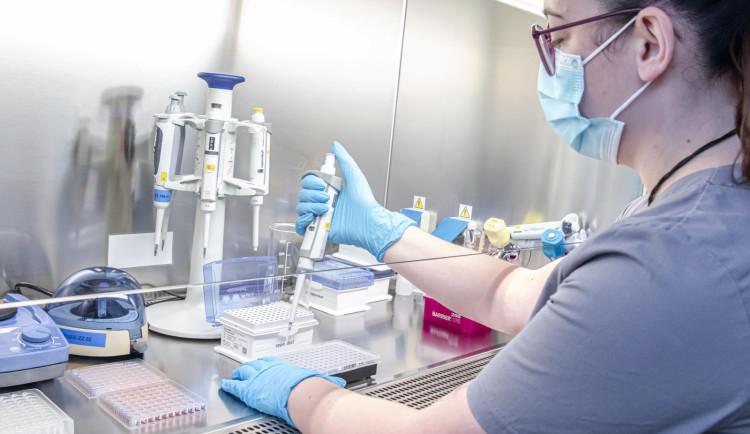 Policie po téměř 12 letech objasnila přepadení mladé ženy. Násilník ji přinutil, aby ho uspokojila