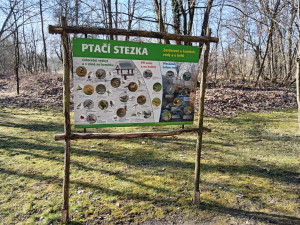 Sýkorky i brhlíci si oblíbili ptačí budky na Božkovském ostrově, radnice tam plánuje i kvetoucí loučky