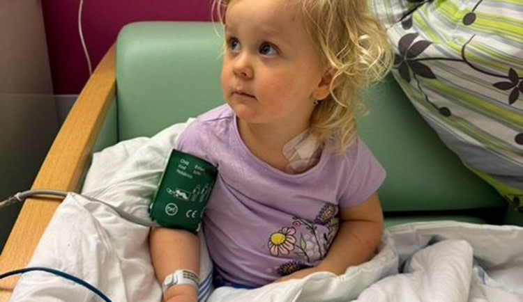 Šance pro nemocnou Madlenku, zájemci se mohou v Sušici zapsat do registru dárců kostní dřeně