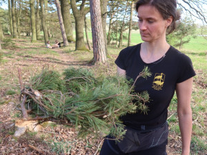 Náhradní hnízdo těsně před instalací na strom
