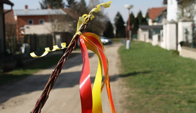 Co si myslíte o velikonoční koledě a vyšlehání dívek i žen pomlázkami?