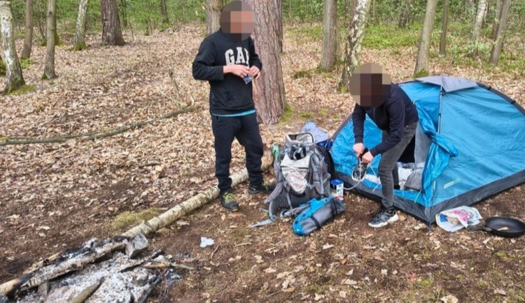 Přes zákaz kempoval mladý pár u Šídlovského rybníka a v lese si rozdělali oheň. Pobyt táborníkům ukončila městská policie