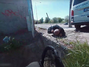 Kachňata spadla do kanálu a nemohla ven, strážníci je vyštouchali na svobodu