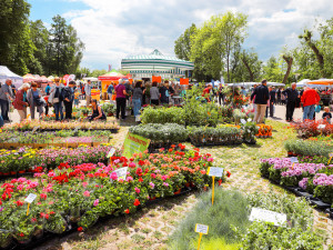 Vyhrajte vstupenky na výstavy Hobby a Czech Food Expo