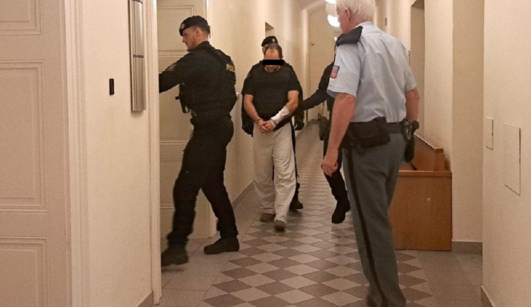 Policie navrhla obžalovat primáře z vraždy a pokusu o vraždu, kolegyni ubil sekerou