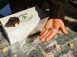 Cestu tábora Evropou dokládá i nalezená britská mince