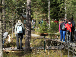 Přírodní rezervace v Českém lese už přes 50 let chrání vzácná rašeliniště