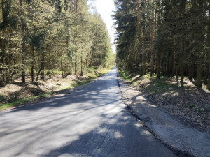 Cesta ke Kokotské studánce