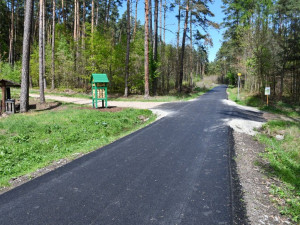 Plzeň opraví lesní cesty na Dubové hoře v Liticích, na Valše i na Kokotsku