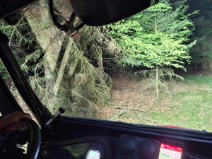 V pátrání hasiči pokračovali až do čtvrteční moci. V pátek ráno byli opět v terénu, foto: Hasiči Domažlice