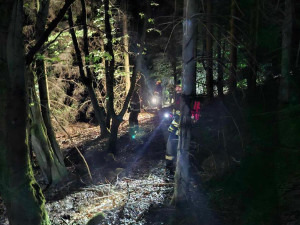 V pátrání hasiči pokračovali až do čtvrteční moci. V pátek ráno byli opět v terénu, foto: Hasiči Domažlice