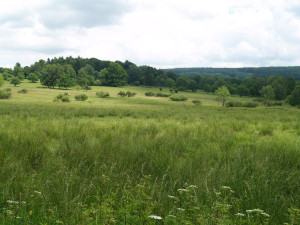CHKO Český les má v Bělé výstavu k 20 letům existence, bude na deseti místech. Foto: Facebook / Agentura ochrany přírody a krajiny