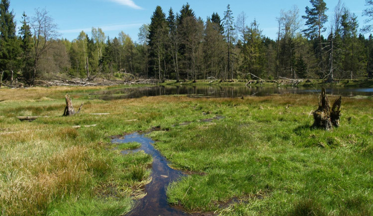 CHKO Český les má v Bělé výstavu k 20 letům existence, bude na deseti místech. Foto: Facebook / Agentura ochrany přírody a krajiny