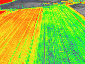 Největší český pivovar s vědci zkoumá možnosti pěstování sladovnického ječmene