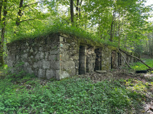 Zapomenuté příběhy zaniklé osady v srdci Českého lesa připomene letní kino a besedy