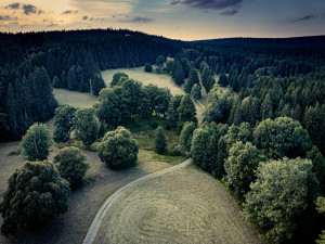 Zapomenuté příběhy zaniklé osady v srdci Českého lesa připomene letní kino a besedy