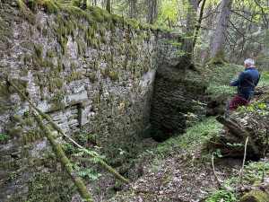 Zapomenuté příběhy zaniklé osady v srdci Českého lesa připomene letní kino a besedy