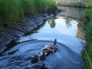 Spokojená máma s rodinkou