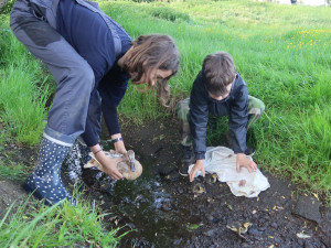 Vypouštění kachny po úspěšném odchytu