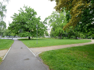 Náměstí Míru projde radikální změnou. O jeho nové podobě může rozhodovat i veřejnost