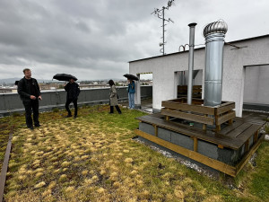 Sedmipatrový panelák má unikátní pobytovou zelenou střechu. První svého druhu v Česku