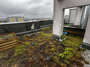Sedmipatrový panelák má unikátní pobytovou zelenou střechu. První svého druhu v Česku
